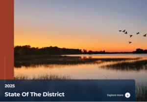 Image of birds flying over wetlands at sunset.
